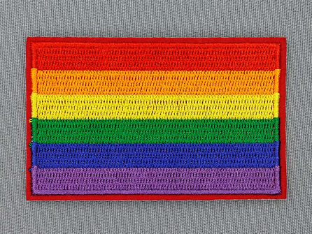 Applicatie 82x51mm regenboog vlag