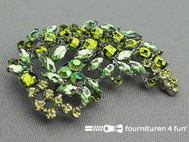 Broches / Corsage met speld